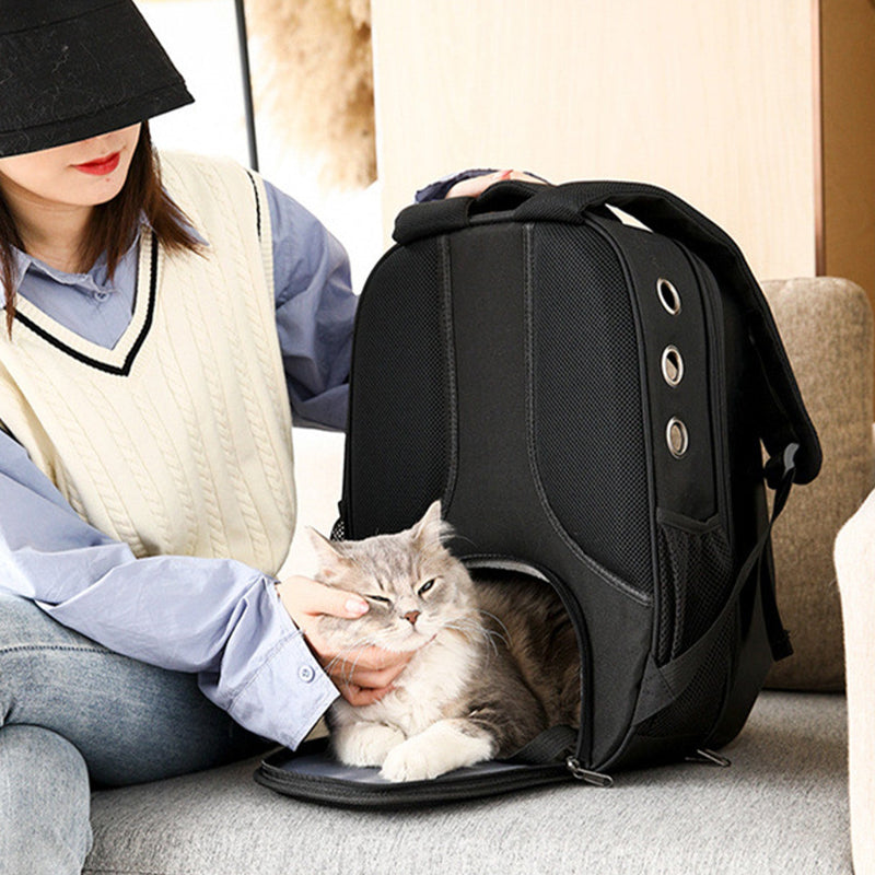 Cat Carriers/Bags