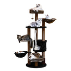 Cat Climbing Frame C10