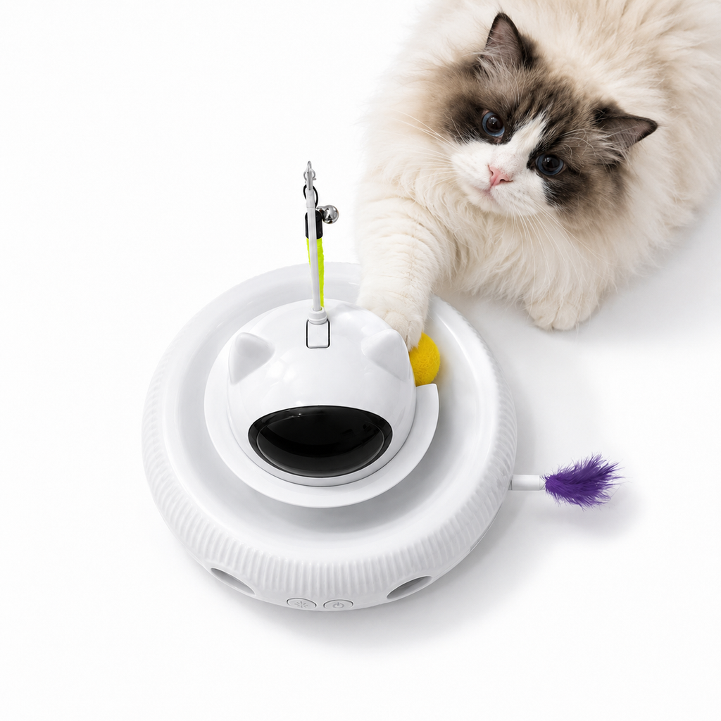 Spinning Companion Cat Toy Station