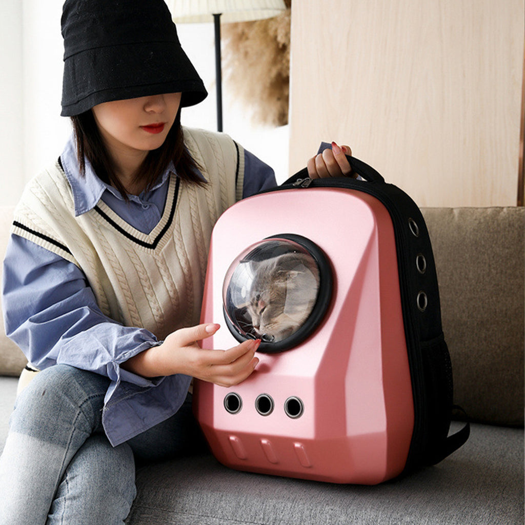 Interactive Hide-and-Seek Cat Toy