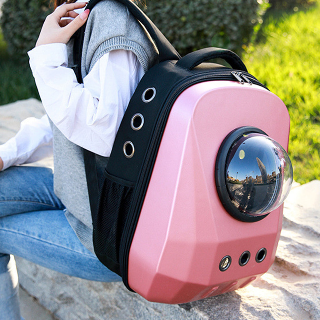 Interactive Hide-and-Seek Cat Toy