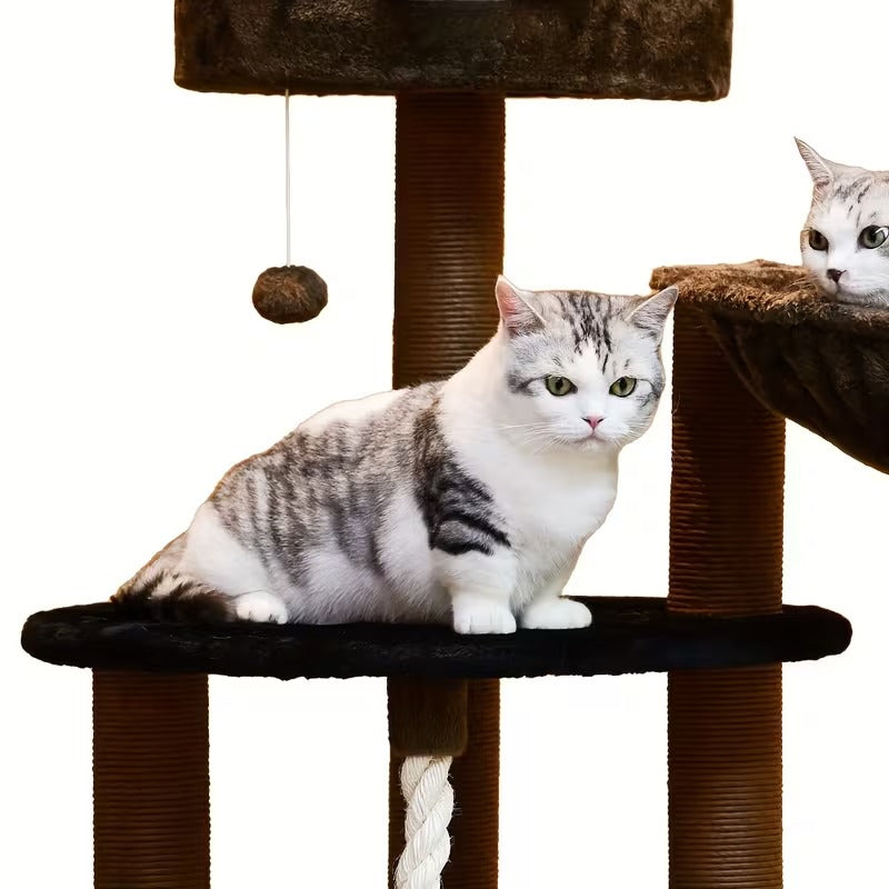 Cat Climbing Frame C10