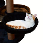 Cat Climbing Frame C10
