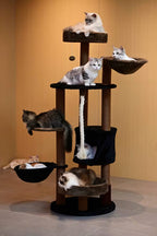 Cat Climbing Frame C10
