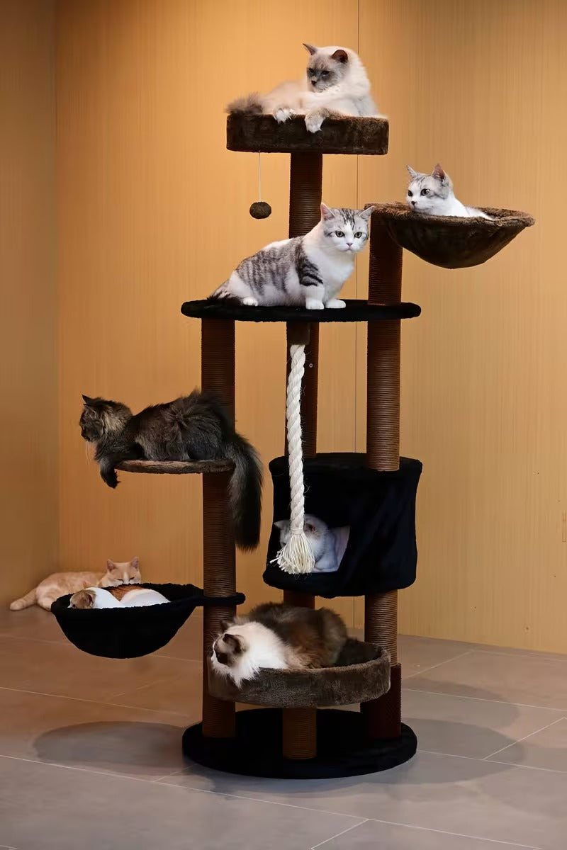 Cat Climbing Frame C10